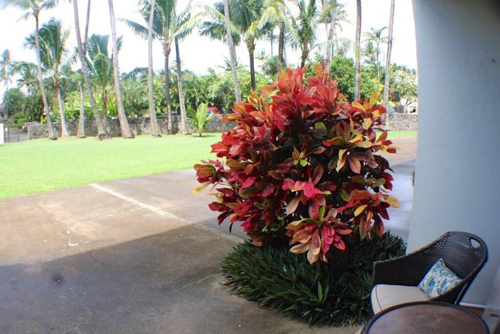 North Shore Of Maui - 2Bd-2Bath بايا المظهر الخارجي الصورة