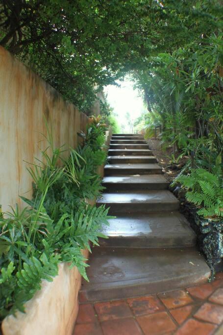 North Shore Of Maui - 2Bd-2Bath بايا المظهر الخارجي الصورة